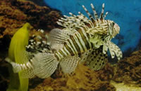 ddos压力测试平台